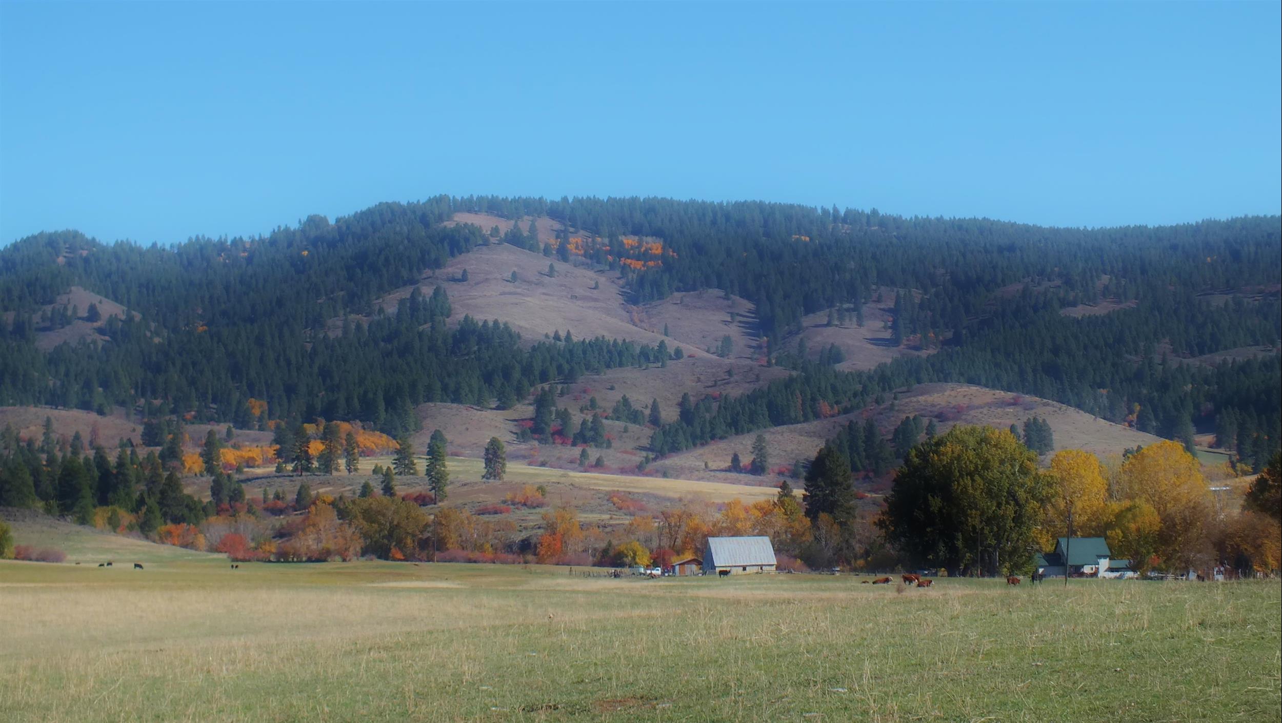 Best campgrounds near Council Idaho -Quail Hollow RV Park